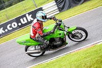 anglesey;brands-hatch;cadwell-park;croft;donington-park;enduro-digital-images;event-digital-images;eventdigitalimages;mallory;no-limits;oulton-park;peter-wileman-photography;racing-digital-images;silverstone;snetterton;trackday-digital-images;trackday-photos;vmcc-banbury-run;welsh-2-day-enduro